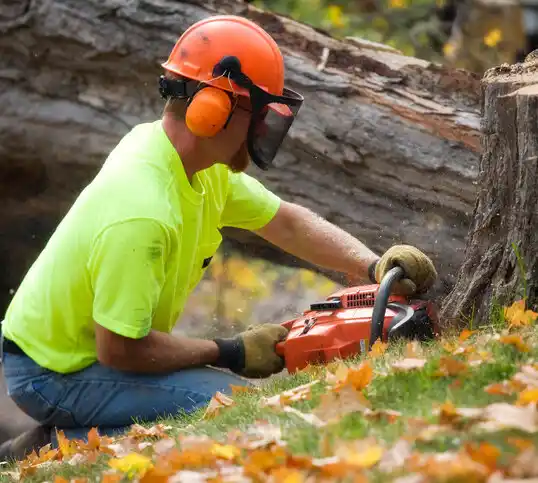 tree services Snover